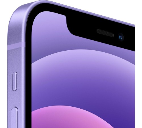 Apple iPhone 12 256 Гб Фиолетовый 2 Sim