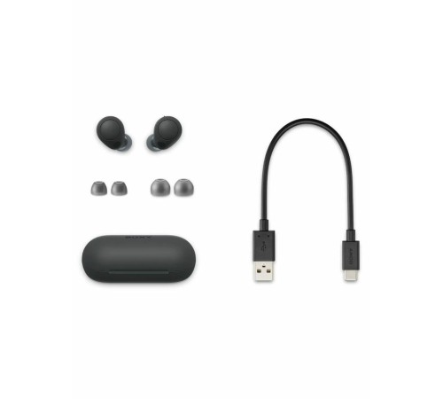 Беспроводные наушники Sony WF-C700N Черный