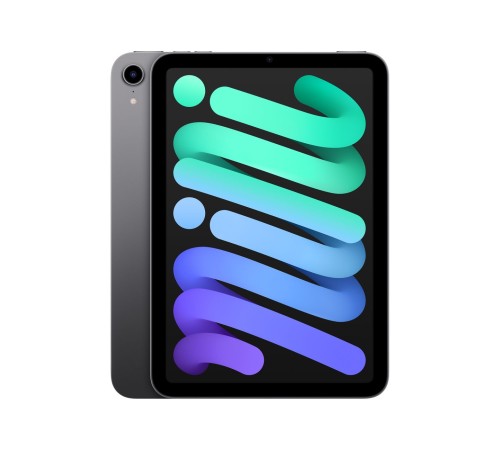 Apple iPad Mini (2021) 256Gb Wi-Fi "Серый космос"