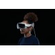 Apple Vision Pro, 1 ТБ, серебристый/белый