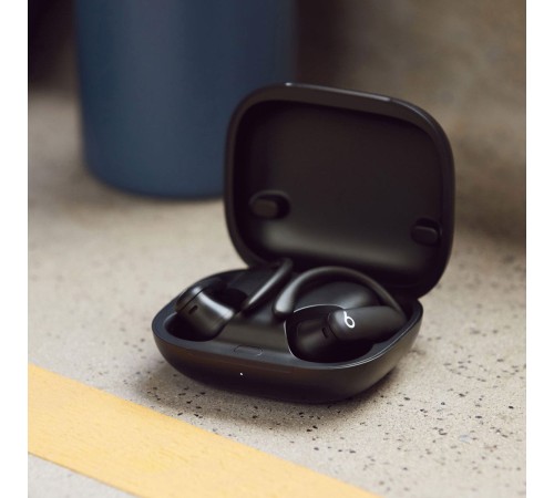 Беспроводные наушники Beats Powerbeats Pro 2 Wireless Earbuds Jet Black