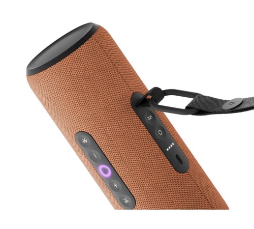 Умная портативная колонка Яндекс Станция Стрит, оранжевый