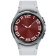 Умные часы Samsung Galaxy Watch 6 Classic 43 мм LTE, silver (SM-R955)