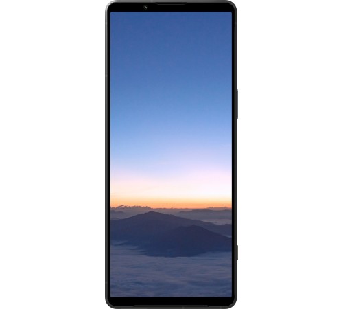 Смартфон Sony Xperia 1 V 12/256 ГБ (XQ-DQ72), черный