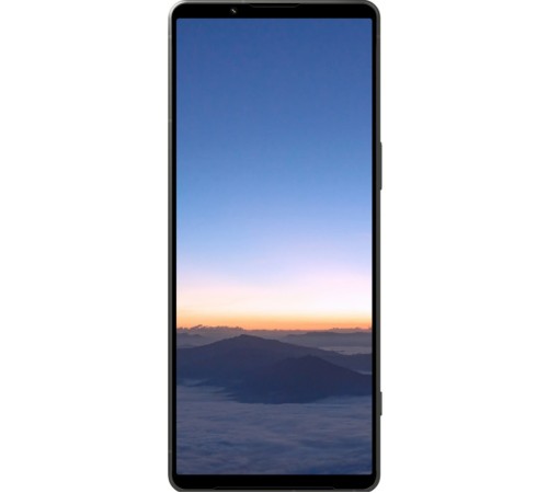 Смартфон Sony Xperia 1 V 12/256 ГБ (XQ-DQ72), зеленый