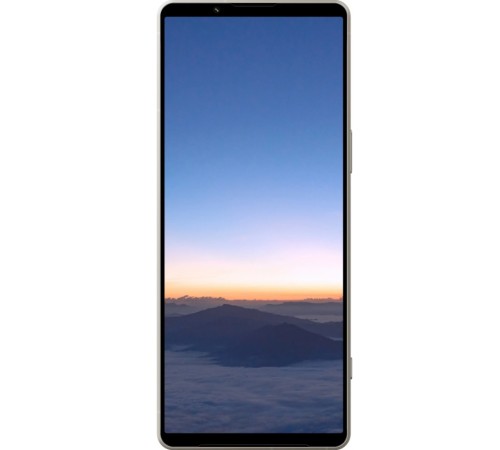 Смартфон Sony Xperia 1 V 12/512 ГБ (XQ-DQ72), серебристый