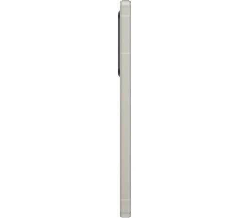 Смартфон Sony Xperia 1 V 12/512 ГБ (XQ-DQ72), серебристый