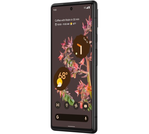 Смартфон Google Pixel 6 8/128 ГБ, nano SIM+eSIM, stormy black