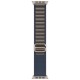 Умные часы Apple Watch Ultra 2 49 мм Titanium Case, титановый/blue Alpine Loop (M)