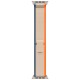 Умные часы Apple Watch Ultra 2 49 мм Titanium Case, титановый/orange/beige Trail Loop (M/L)