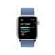 Умные часы Apple Watch SE 2 (2023) GPS 44mm Silver Aluminium Case with Winter Blue Sport Loop (MREF3)