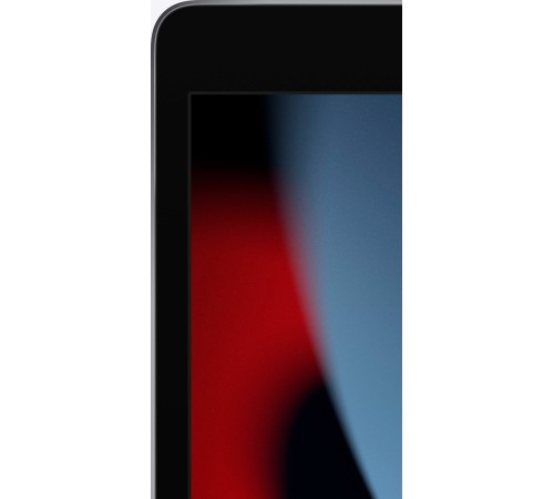 Планшет Apple iPad 10.2 (9gen), 256 ГБ, Wi-Fi+Cellular, iPadOS, серый