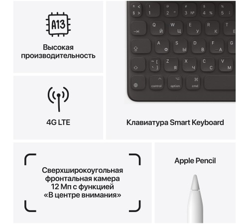 Планшет Apple iPad 10.2 (9gen), 256 ГБ, Wi-Fi+Cellular, iPadOS, серый