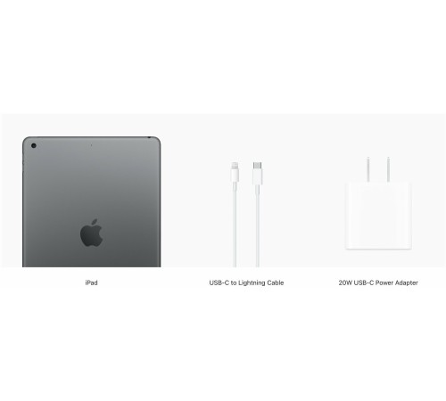 Планшет Apple iPad 10.2 (9gen), 256 ГБ, Wi-Fi+Cellular, iPadOS, серый
