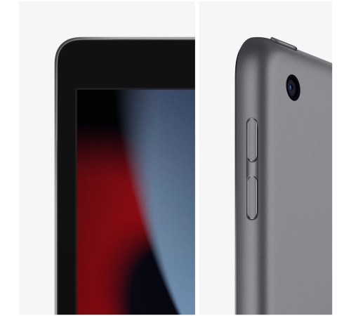 Планшет Apple iPad 10.2 (9gen), 256 ГБ, Wi-Fi+Cellular, iPadOS, серый