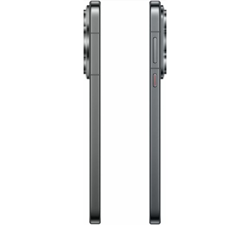 Смартфон Huawei Pura 70 12/256, Dual nano Sim, RU, черный 