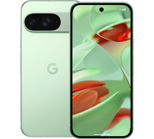 Смартфон Google Pixel 9 5G 12/256 ГБ, Dual: nano SIM + eSIM, Green