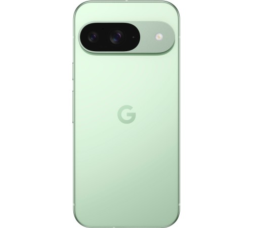 Смартфон Google Pixel 9 5G 12/256 ГБ, Dual: nano SIM + eSIM, Green
