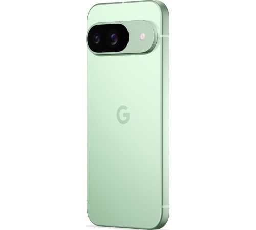 Смартфон Google Pixel 9 5G 12/256 ГБ, Dual: nano SIM + eSIM, Green