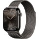 Apple Watch S10 46mm Slate Titanium Case with Slate Milanese Loop S/M (HK)