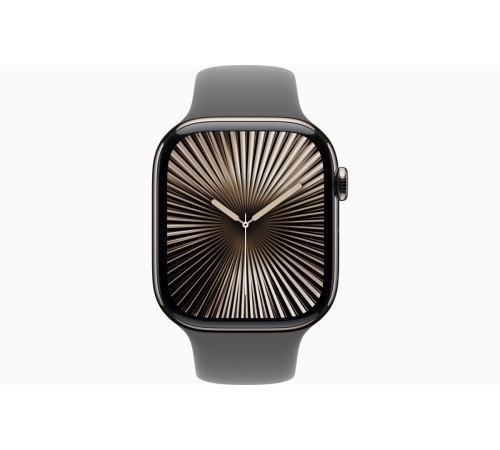 Apple Watch S10 46mm Natural Titanium Case with Stone Gray Sport Band S/M