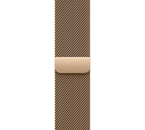 Apple Watch S10 42mm Gold Titanium Case with Gold Milanese Loop