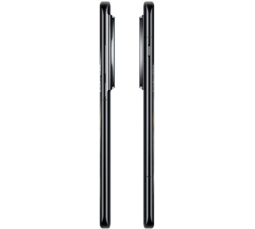 Смартфон OnePlus 12 12/256, Dual nanoSIM, IN, черный (CPH2573)