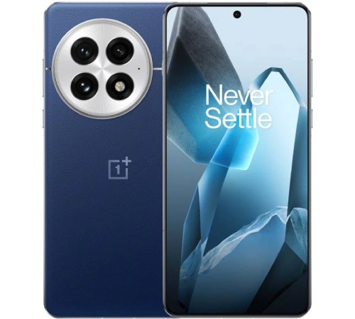 Смартфон OnePlus 13 16/512, Dual nanoSIM, CN, синий (PJZ110)