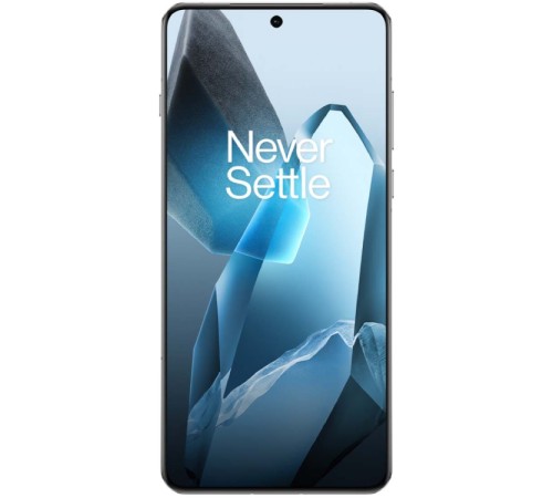 Смартфон OnePlus 13 12/256, Dual nanoSIM, CN, синий (PJZ110)
