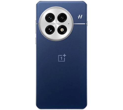 Смартфон OnePlus 13 12/256, Dual nanoSIM, CN, синий (PJZ110)