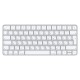 Клавиатура Apple Magic Keyboard USB-C Белый (MXCL3)