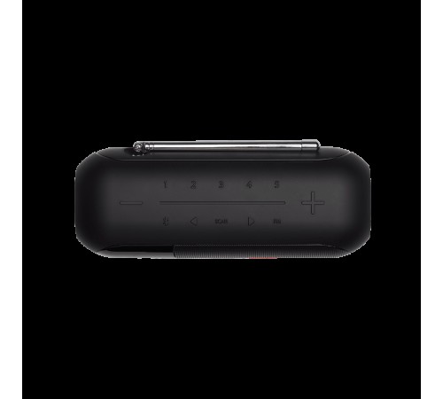Портативная акустика JBL Tuner 2 FM черный
