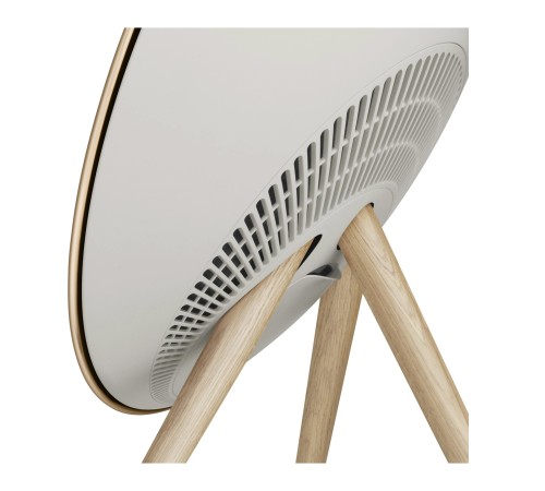 Портативная акустика Bang & Olufsen Beosound A9 5th Gen Gold Tone
