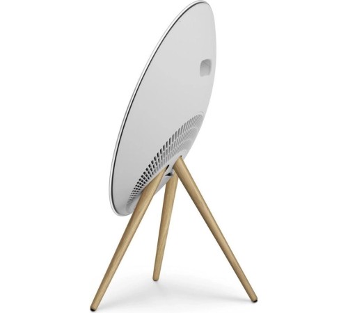 Портативная акустика Bang & Olufsen Beosound A9 5th Gen Natural Aluminium