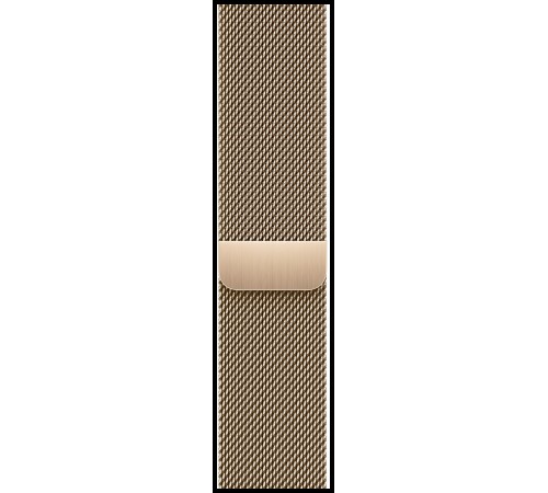 Умные часы Apple Watch Series 8 41 мм Steel Case, gold milanese MNJF3FD/A